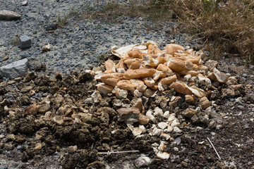 Loafs of old baguette bread are thrown into a landfill in Turkey's Istanbul neighborhood.