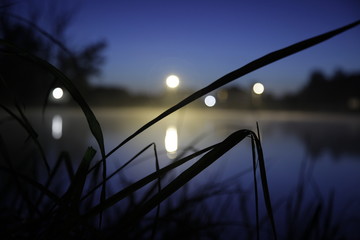 lights on the river. fog over water