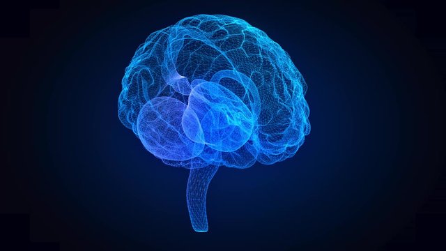 Rotating human brain. Glowing blue human brain 3d model. Seamless looping motion animated neurons in virtual space.