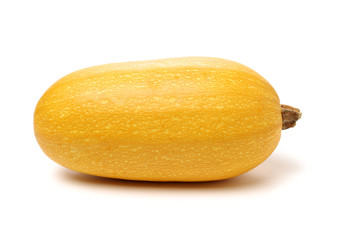 organic spaghetti squash Cucurbita pepo vegetable on white background