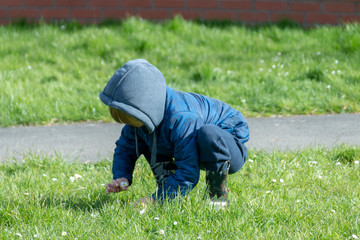 A young boy collecting flowers in a open public park