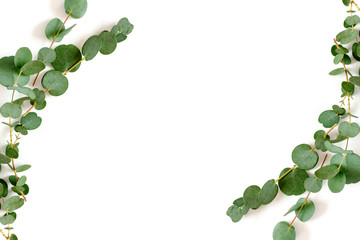 Border frame made of eucalyptus branches