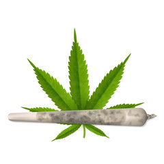 Cannabis leaf and marijuana joint isolated on white background.