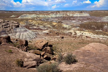 Fototapeta na wymiar Arizona / USA - August 01, 2015: Landscape at Petrified Forest National Park, Arizona, USA
