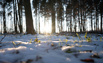 Frühling Jahreszeit