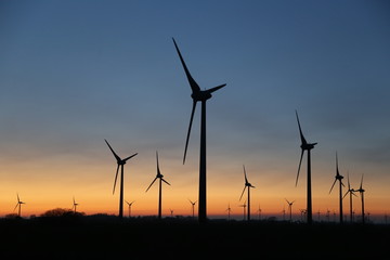 Obraz premium Windräder an der Nordseeküste bei Sonnenuntergang