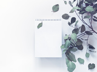 The concept of business planning, study, freelance, diary. An open notebook with blank pages is on a white background. Nearby is a branch of eucalyptus. Composition in a minimalist style. Flat lay.