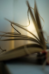 creativity in simplicity