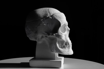 Side view of gypsum model of the human skull on black background with clipping path. Concept of...