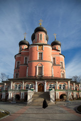 Fototapeta na wymiar Donskoy Monastery in Moscow and its Big Cathedral