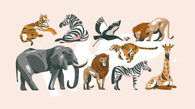 Hand drawn vector abstract cartoon modern graphic African Safari collage illustrations art collection set bundle with safari animals isolated on pastel color background