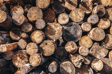 Lumber stock - round logs - natural background - logging
