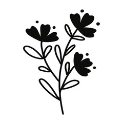 Wild flower on a white background. Simple vector illustration.