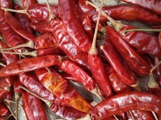 Red hot chili dried peppers, top view. Vegetarian food. Food poster. Closeup image. Nepal