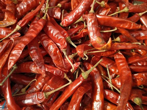 Red hot chili dried peppers, top view. Vegetarian food. Food poster. Closeup image. Nepal