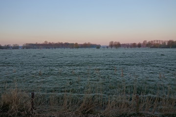 Fototapeta premium Niederrheinlandschaft bei Grefrath Oedt bei Frost am Morgen