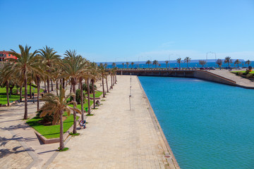 Fototapeta premium przybrzeżny tropikalny park w Palma de Mallorca