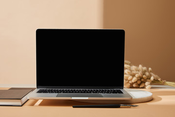 laptop with blank screen near lagurus spikelets, notebook and paintbrush on beige background