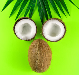 Coconuts and palm leaves on green background