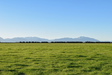 farm in new zeland