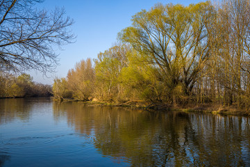 Fototapeta na wymiar Small Danube river in spring time.
