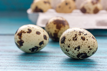 Fototapeta premium Wachteleier in einer Eierbox vor Holzhintergrund in Blau