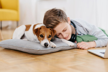 Little terrier dog relaxing with its owner - obrazy, fototapety, plakaty