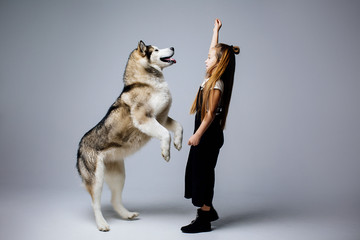 girl is training her big dog
