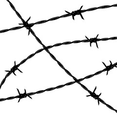 Barbed wire on a transparent background, ban, isolation, stop. Disease, conclusion, prohibition, carefully.