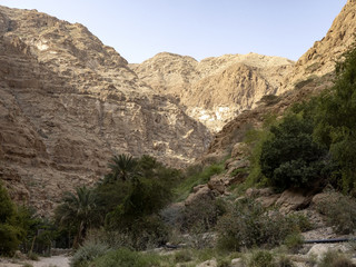 Wadi Shab, beautiful scenery, high rocks, stream with clear water. Oman