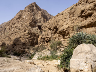 Fototapeta na wymiar Wadi Shab, beautiful scenery, high rocks, stream with clear water. Oman