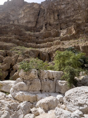 Wadi Shab, beautiful scenery, high rocks, stream with clear water. Oman