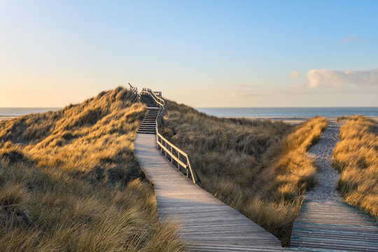 Path and stairs through the dunes of Amrum