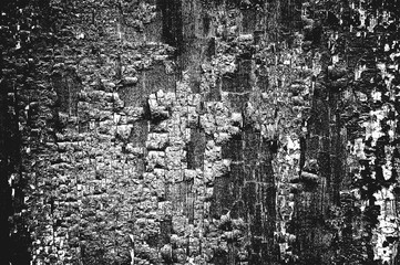 Naklejka na ściany i meble Distress wooden texture with cracked paint. Black and white grunge background.