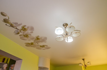Beautiful stretch ceiling with vintage chandeliers and an Orchid flower