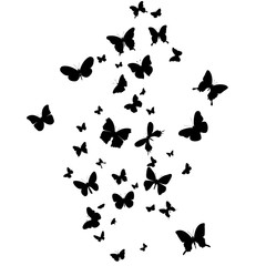 Fototapeta na wymiar vector, isolated, black silhouette of a butterfly flying