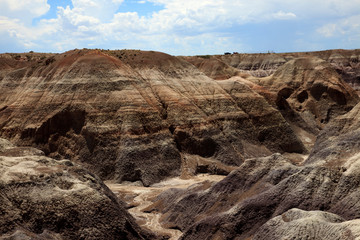 Fototapeta na wymiar Arizona / USA - August 01, 2015: Petrified Forest National Park landscape, Arizona, USA