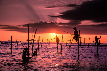 Traditional stilt fisherman at sunset in Sri Lanka
