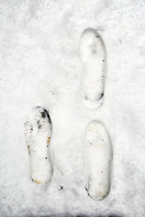 Footprints in fresh snow background