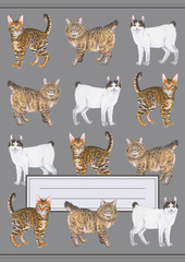 Grey notebook cover with cute purebred cats

