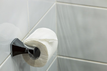 roll of white toilet paper hangs in the toilet room