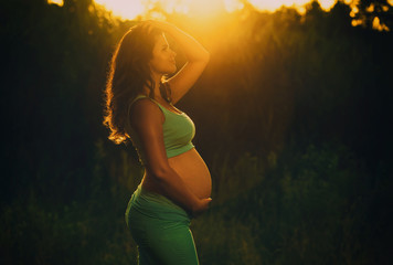 Adult pregnant woman on against the backdrop of the sunset in the park. 9 months of pregnancy and childbirth.