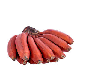 fresh red banana isolated on white background. group of varieties of banana with reddish-purple skin.