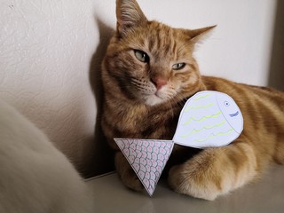 Poisson d'avril chat