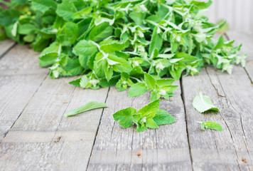 Fresh mint on rustic wooden table