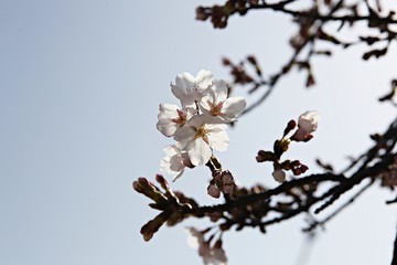 한국 인천시 남동구 인천대공원 입니다