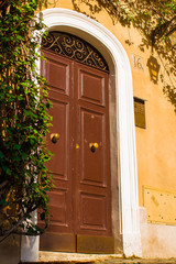 Fototapeta na wymiar old wooden door in an old house