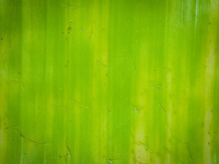 Obraz premium OLYMPUS DIGITAL CAMERA