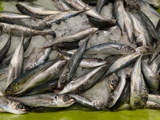 Obraz premium fresh sea fish ready for sale