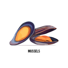 delicious seafood mussels in shell isolated on white background vector illustration